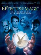 Превью постера #45208 к фильму "Эффекты магии" (1998)