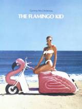 Превью постера #46034 к фильму "Парнишка из Фламинго" (1984)