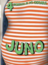 Превью постера #4053 к фильму "Джуно" (2007)