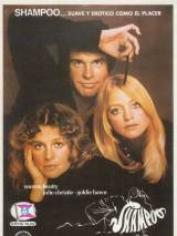 Шампунь / Shampoo (1975) отзывы. Рецензии. Новости кино. Актеры фильма Шампунь. Отзывы о фильме Шампунь