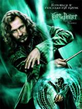Превью постера #4136 к фильму "Гарри Поттер и орден Феникса"  (2007)