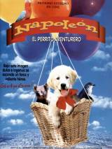 Превью постера #52000 к фильму "Наполеон" (1995)