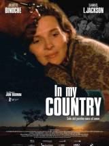 Превью постера #56793 к фильму "В моей стране" (2004)