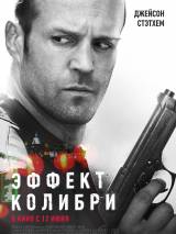 Превью постера #58227 к фильму "Эффект колибри"  (2013)