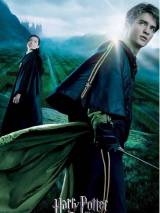 Превью постера #4820 к фильму "Гарри Поттер и кубок огня" (2005)