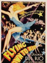 Превью постера #58852 к фильму "Полет в Рио" (1933)
