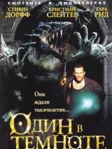Превью постера #60365 к фильму "Один в темноте" (2005)