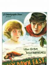 Превью постера #61980 к фильму "Водопад жизни" (1920)