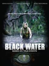 Превью постера #62682 к фильму "Хищные воды" (2007)