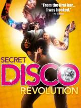Превью постера #62744 к фильму "Тайная диско-революция" (2012)