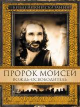 Превью постера #63372 к фильму "Пророк Моисей: Вождь-освободитель"  (1995)