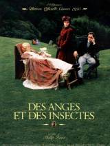 Ангелы и насекомые / Angels and Insects (1995) отзывы. Рецензии. Новости кино. Актеры фильма Ангелы и насекомые. Отзывы о фильме Ангелы и насекомые