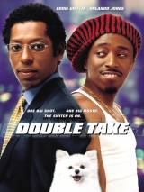Двойные неприятности / Double Take (2001) отзывы. Рецензии. Новости кино. Актеры фильма Двойные неприятности. Отзывы о фильме Двойные неприятности