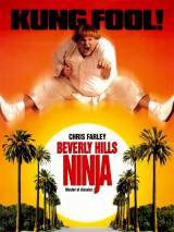 Превью постера #64214 к фильму "Ниндзя из Беверли Хиллз" (1997)