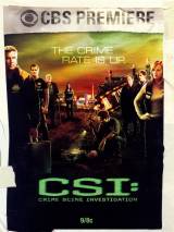 Превью постера #66411 к фильму "C.S.I. Место преступления" (2000)
