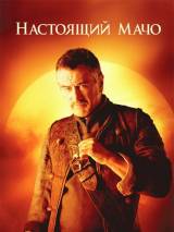 Превью постера #5788 к фильму "Звездная пыль"  (2007)