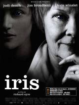 Превью постера #5872 к фильму "Айрис" (2001)