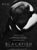 Черный плавник / Blackfish