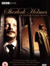 Превью постера #79553 к фильму "Странная история мистера Шерлока Холмса и Артура Конан Дойля" (2005)