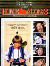 Превью постера #6434 к фильму "Один дома 3" (1997)
