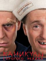 Превью постера #6449 к фильму "Каникулы строгого режима"  (2009)