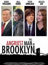 Этим утром в Нью-Йорке / The Angriest Man in Brooklyn (2014) отзывы. Рецензии. Новости кино. Актеры фильма Этим утром в Нью-Йорке. Отзывы о фильме Этим утром в Нью-Йорке