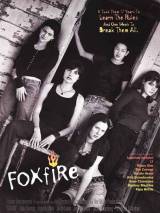 Ложный огонь / Foxfire (1996) отзывы. Рецензии. Новости кино. Актеры фильма Ложный огонь. Отзывы о фильме Ложный огонь