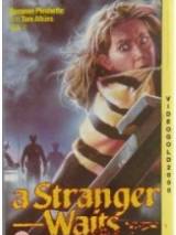 Превью постера #84813 к фильму "Незнакомец ждет" (1987)
