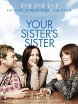 Превью постера #92726 к фильму "Сестра твоей сестры" (2011)