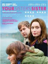 Превью постера #92727 к фильму "Сестра твоей сестры" (2011)