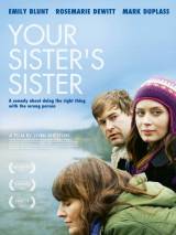 Превью постера #92728 к фильму "Сестра твоей сестры" (2011)