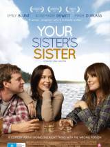 Превью постера #92729 к фильму "Сестра твоей сестры" (2011)