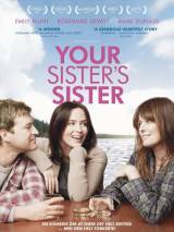 Превью постера #92730 к фильму "Сестра твоей сестры"  (2011)