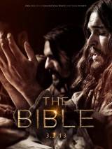 Превью постера #96935 к фильму "Библия" (2013)