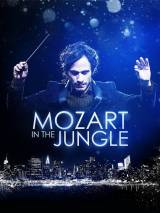 Превью постера #97027 к сериалу "Моцарт в джунглях" (2014)