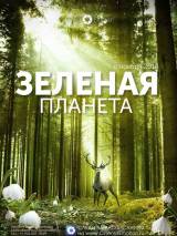 Превью постера #98352 к фильму "Зеленая планета" (2012)