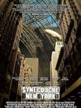 Превью постера #755 к фильму "Синекдоха, Нью-Йорк" (2008)
