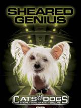 Превью постера #11333 к фильму "Кошки против собак: Месть Китти Галор"  (2010)