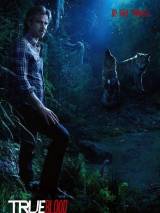 Превью постера #11725 к сериалу "Настоящая кровь"  (2008-2014)