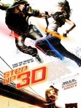 Превью постера #12420 к фильму "Шаг вперед 3D" (2010)