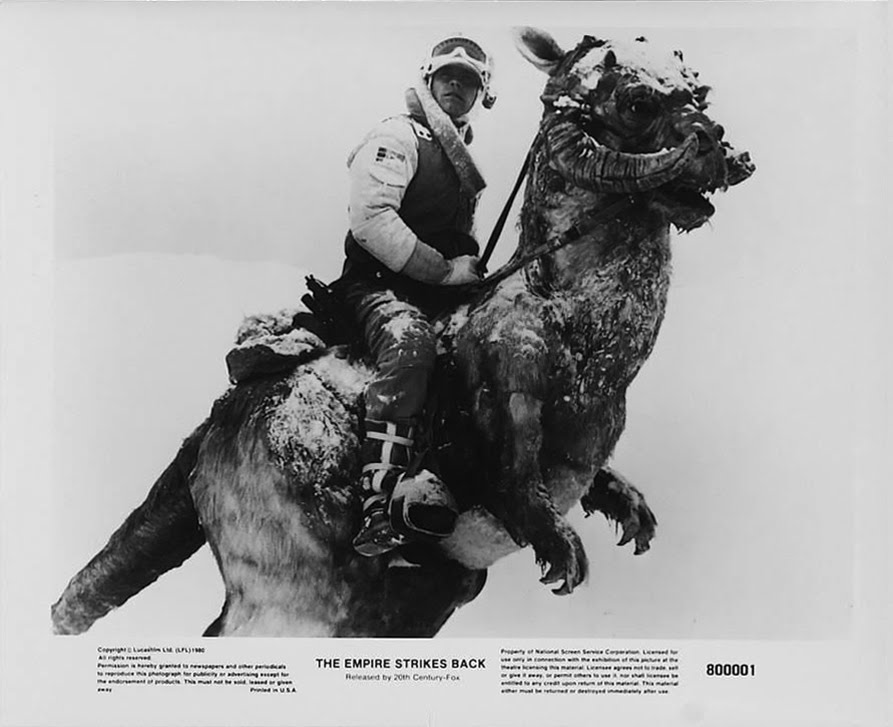 Фильм Звездные войны: Эпизод 5 - Империя наносит ответный удар (1980). Кадр N12588