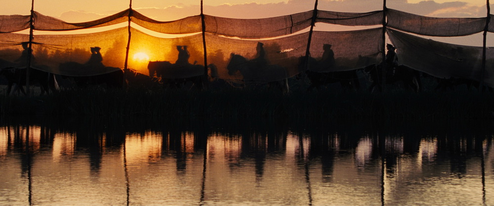 Фильм Боевой конь (2011). Кадр N23597