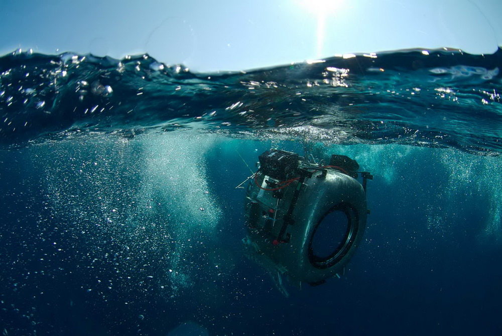 Фильм На глубине морской 3D (2009). Кадр N26071