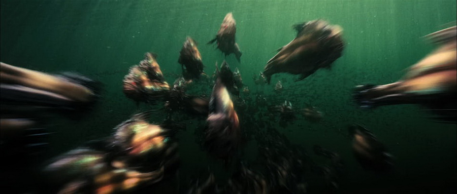 Фильм Пираньи 3D (2010). Кадр N30486