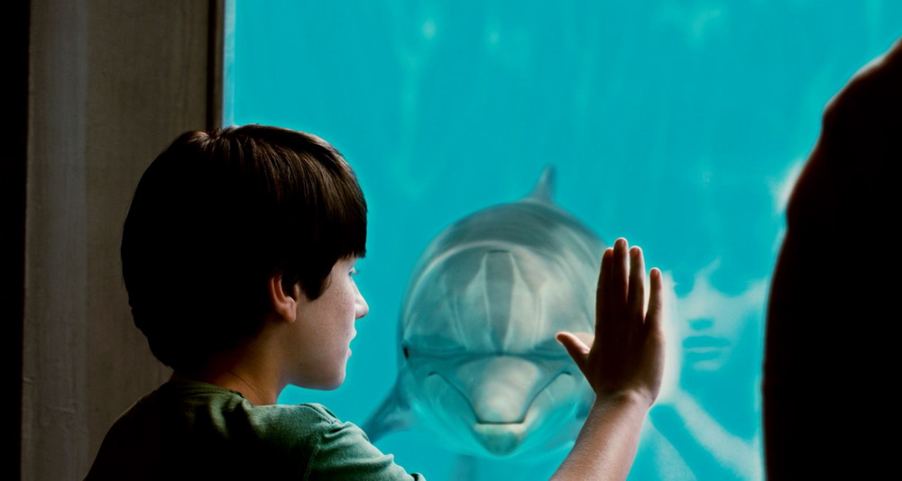 Фильм История дельфина (2011). Кадр N31430
