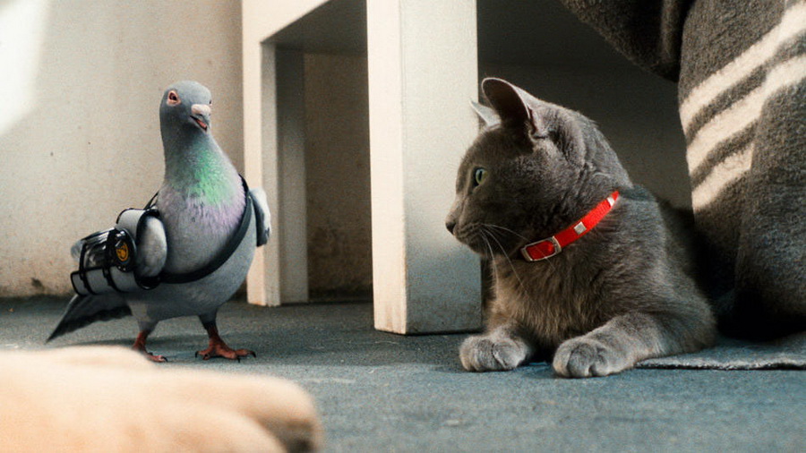 Кадр N32113 из фильма Кошки против собак: Месть Китти Галор / Cats & Dogs: The Revenge of Kitty Galore (2010)