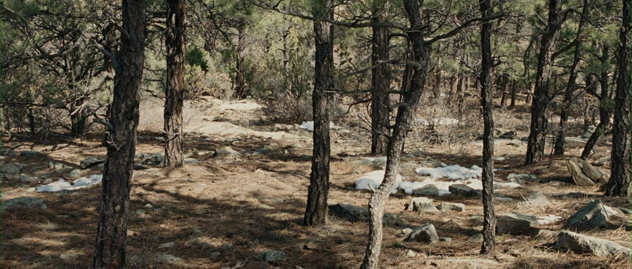Фильм Железная хватка (2010). Кадр N32674