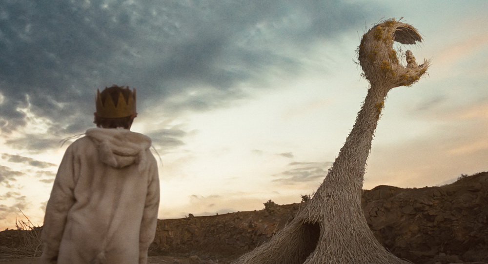 Фильм Там, где живут чудовища (2009). Кадр N33902
