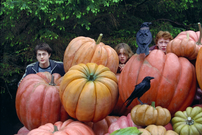 Фильм Гарри Поттер и узник Азкабана (2004). Кадр N34946