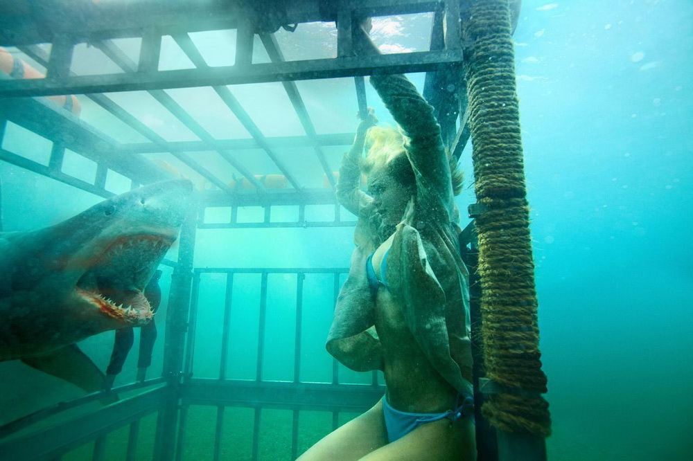 Фильм Челюсти 3D (2011). Кадр N36010